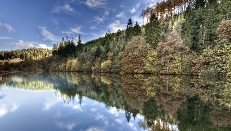 Dalby Forest