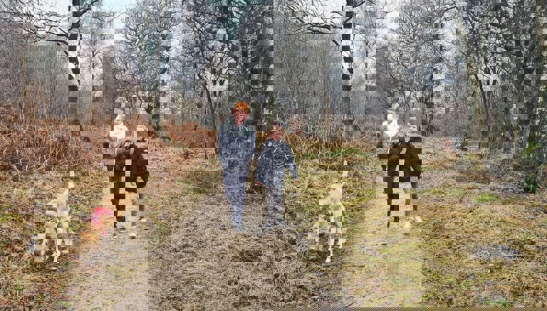 Dalby Forest Dog-Friendly Walks