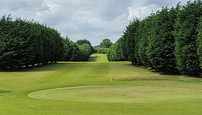 Sawdon Golf