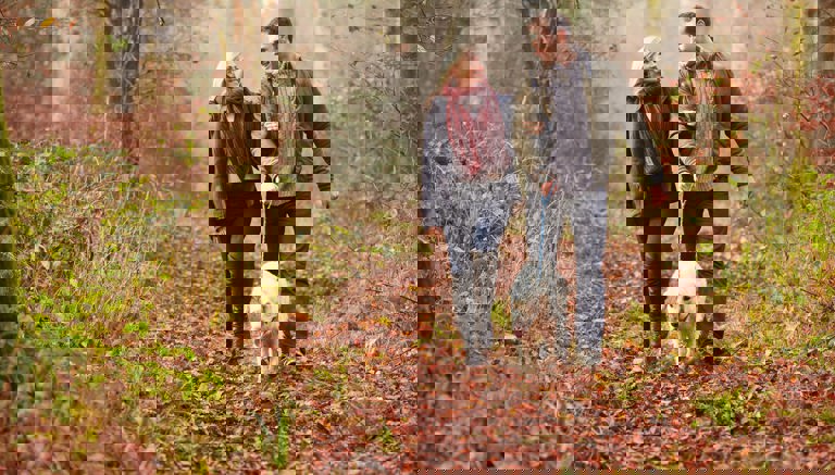 Dalby Forest Walks