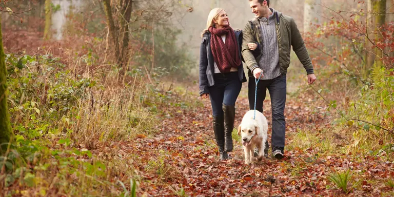 Dog Friendly Days Out, Walks & Places to Eat