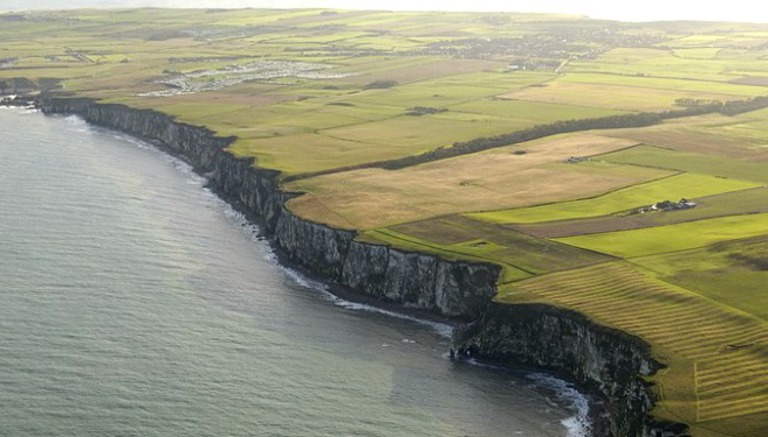 RSPB Bempton Cliffs