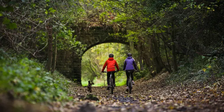 Ditch the Car, Grab the Gears: Explore the local area by bike!