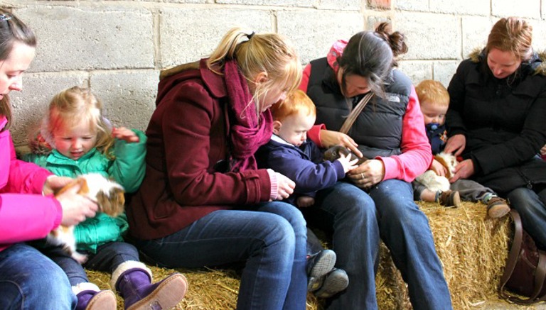 Playdale Farm Park - Guinea Pig Handling