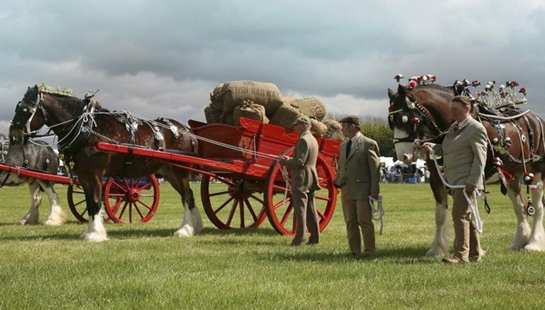 Yorkshire Game & Country Fair