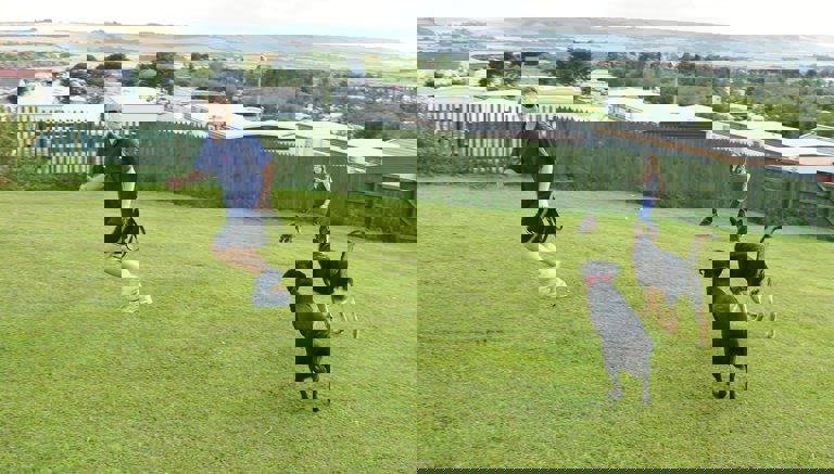 Dog Park at Crows Nest