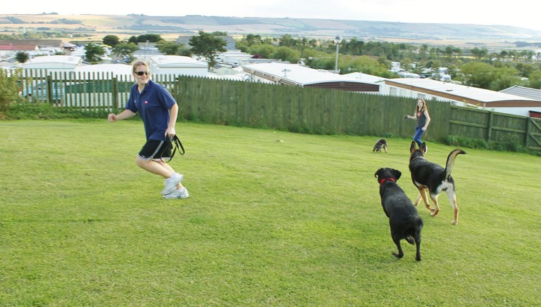 Dog Park at Crows Nest