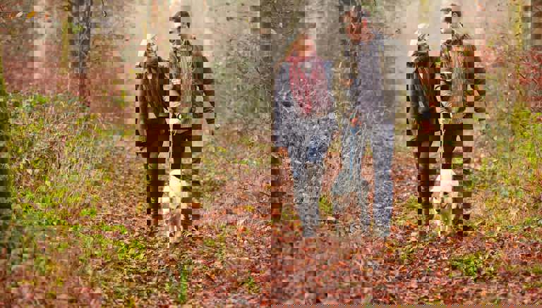 Dalby Forest
