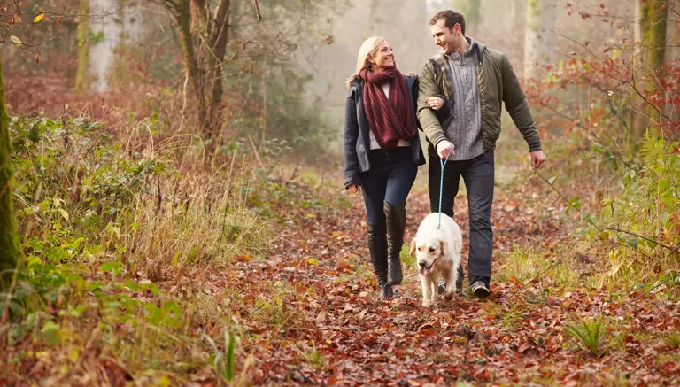 Dalby Forest