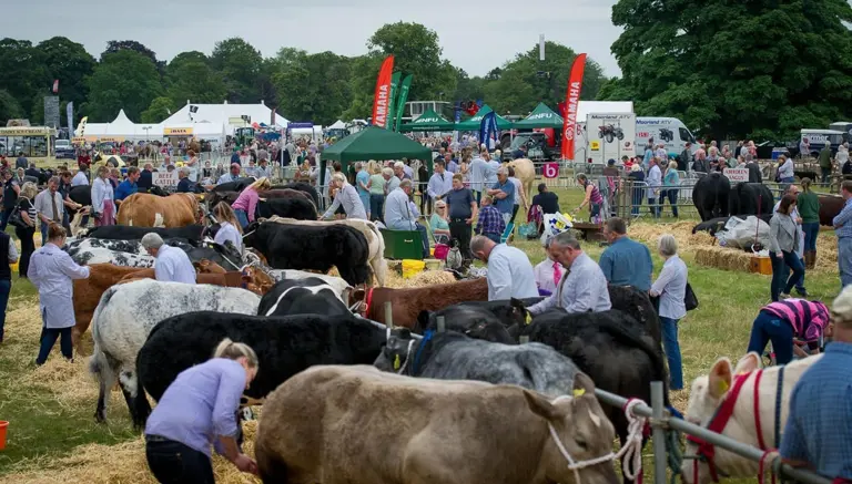 Malton Show