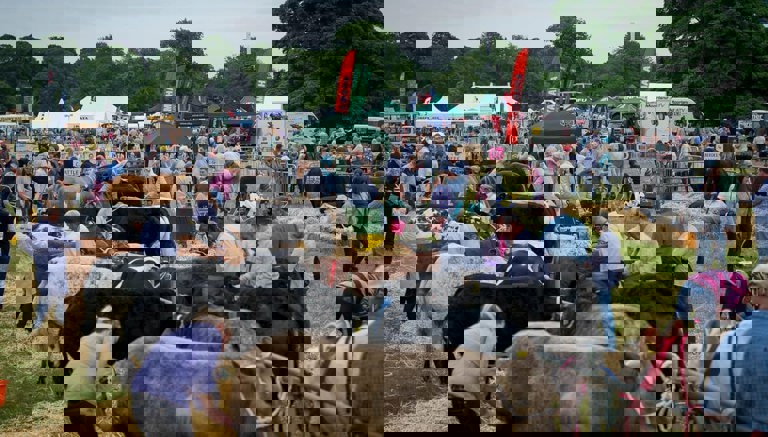 Malton Show Malton Show