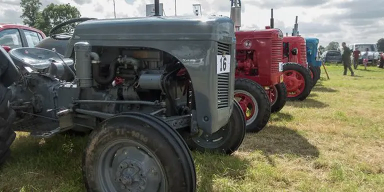 Making Memories at Thornton le Dale Show
