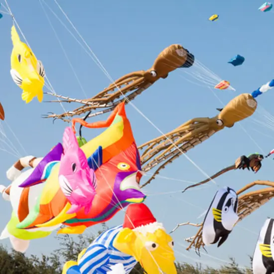 Bridlington Kite Festival Bridlington Kite Festival