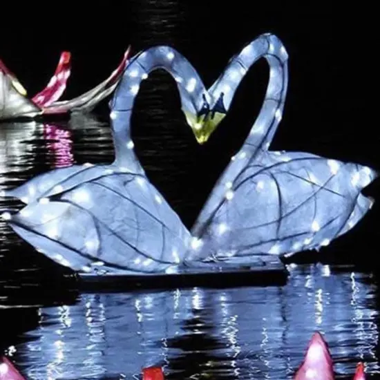 Moonlight on the Lake Moonlight on the Lake