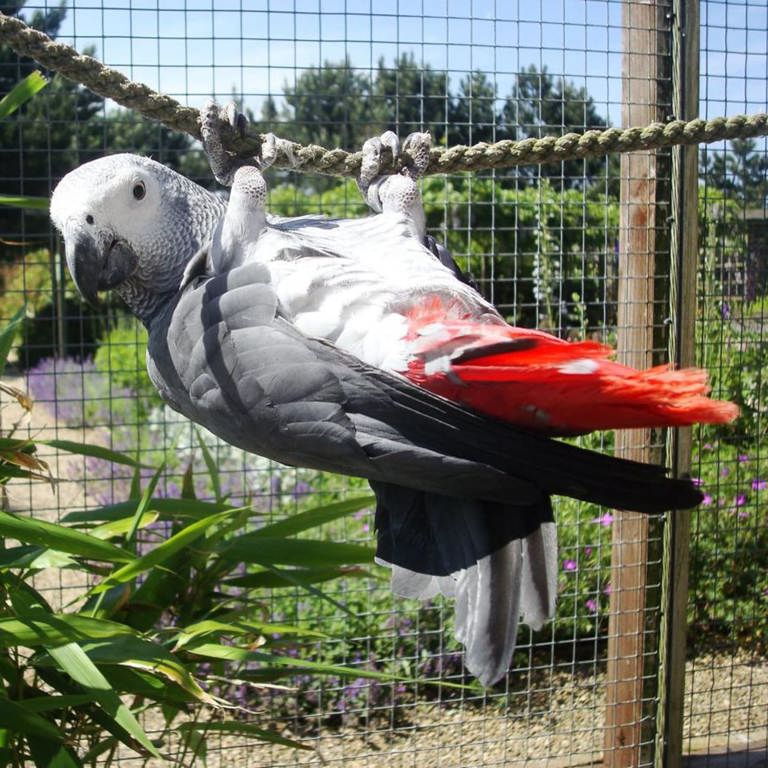 Filey Bird & Animal Park