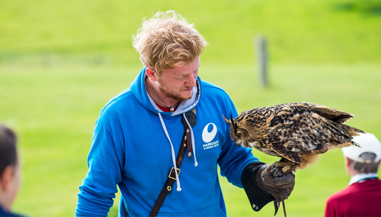 The National Birds of Prey Centre in Helmsley
