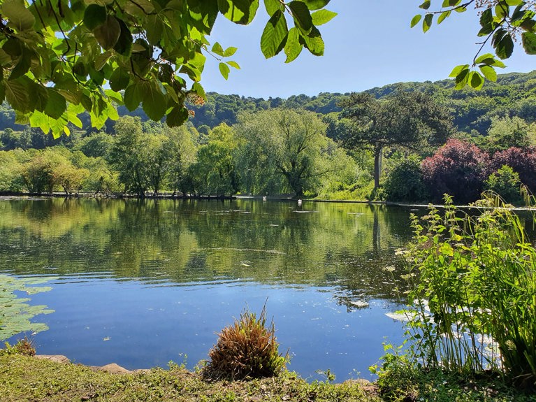 The Mere in Scarborough