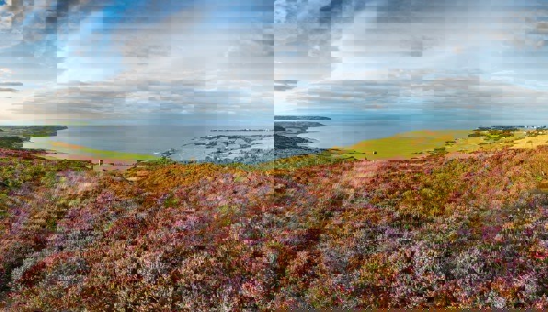 Ravenscar