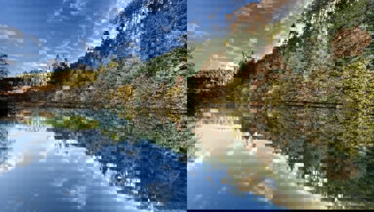 Dalby Forest Dalby Forest