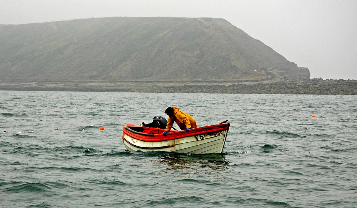Filey Fishing Festival