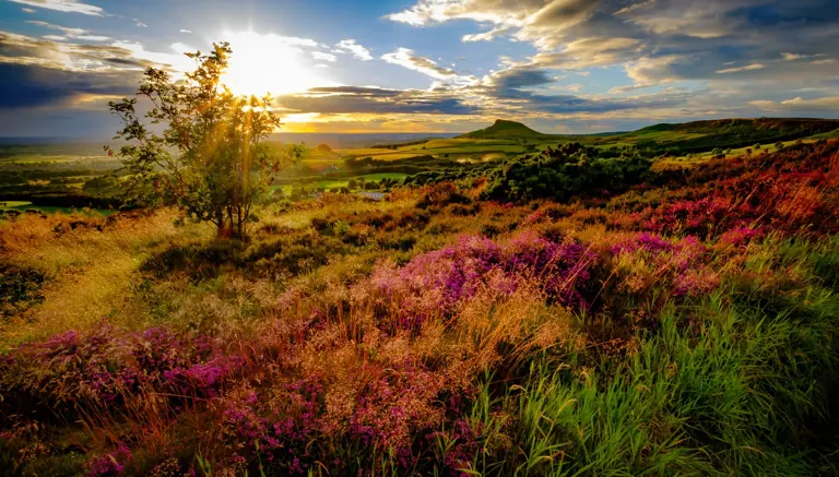 North York Moors North York Moors