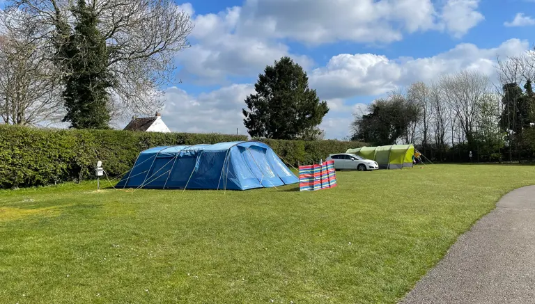 Grass Pitches with Electric