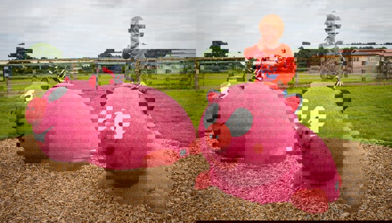 Piglets Adventure Farm