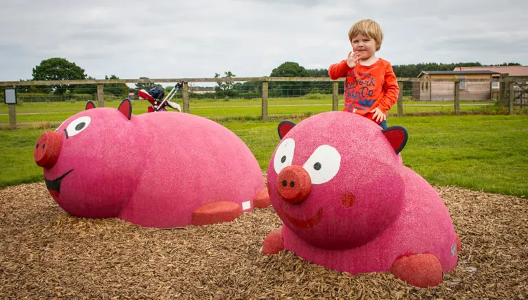 Piglets Adventure Farm