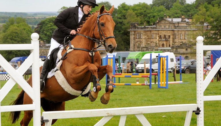Horse Shows at Duncombe Park