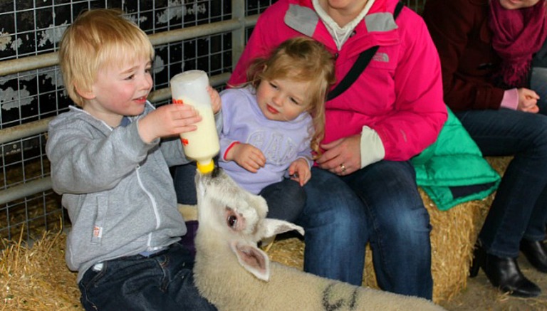 Playdale Farm Park - Feeding Lambs