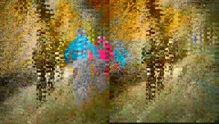 Cycling - Moors