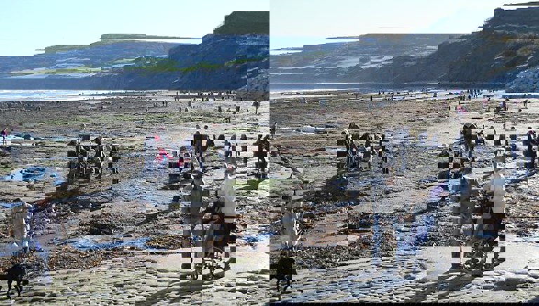 Fossil Hunting at Robin Hoods Bay