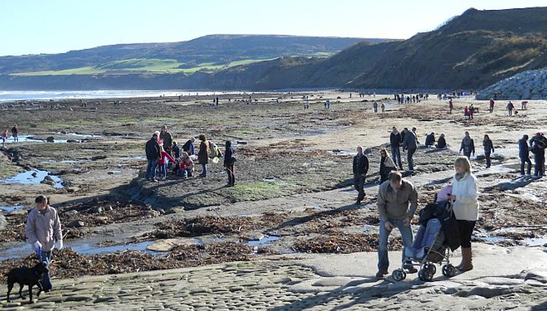 Fossil Hunting at Robin Hoods Bay