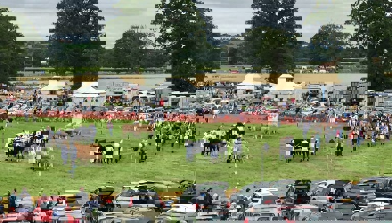 Thornton Le Dale Agricultural Showground