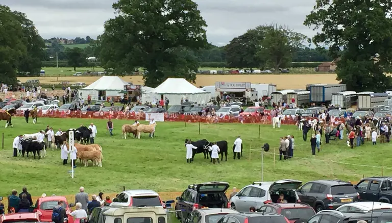 Thornton Le Dale Agricultural Showground