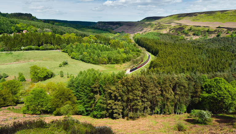 NYMR