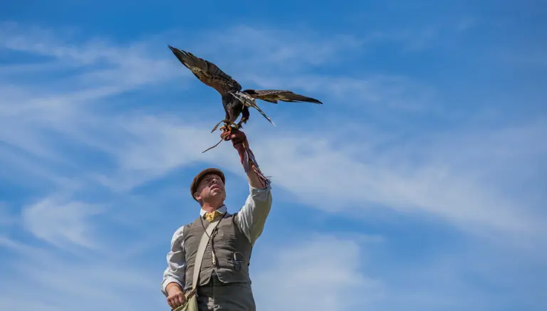Falconry at Whitby Abbey