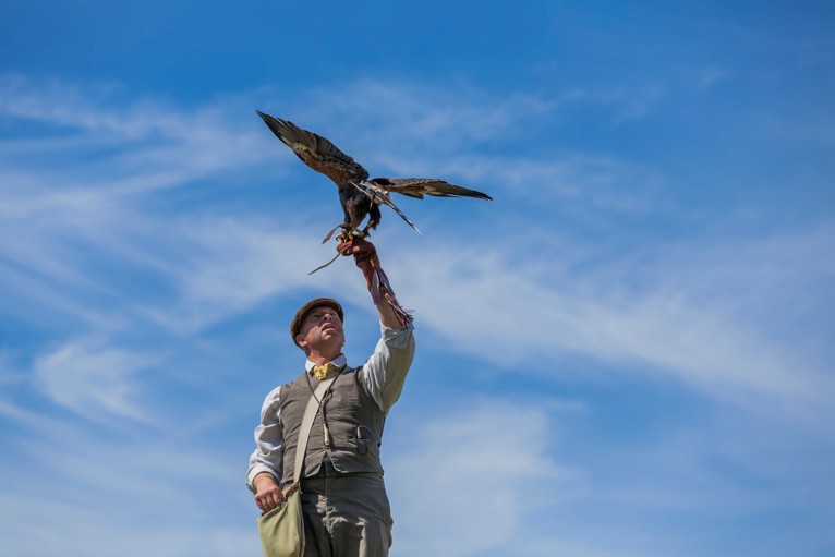 Gothic Falconry