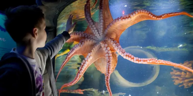 Things to do on a Rainy Day in Scarborough, York and the Yorkshire Coast