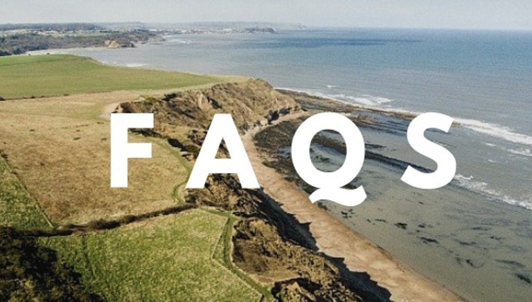 Top FAQs