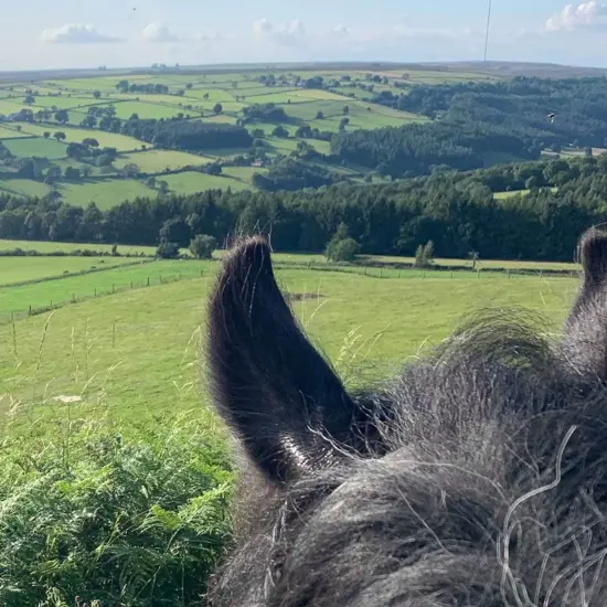 Bilsdale Riding Centre Bilsdale Riding Centre